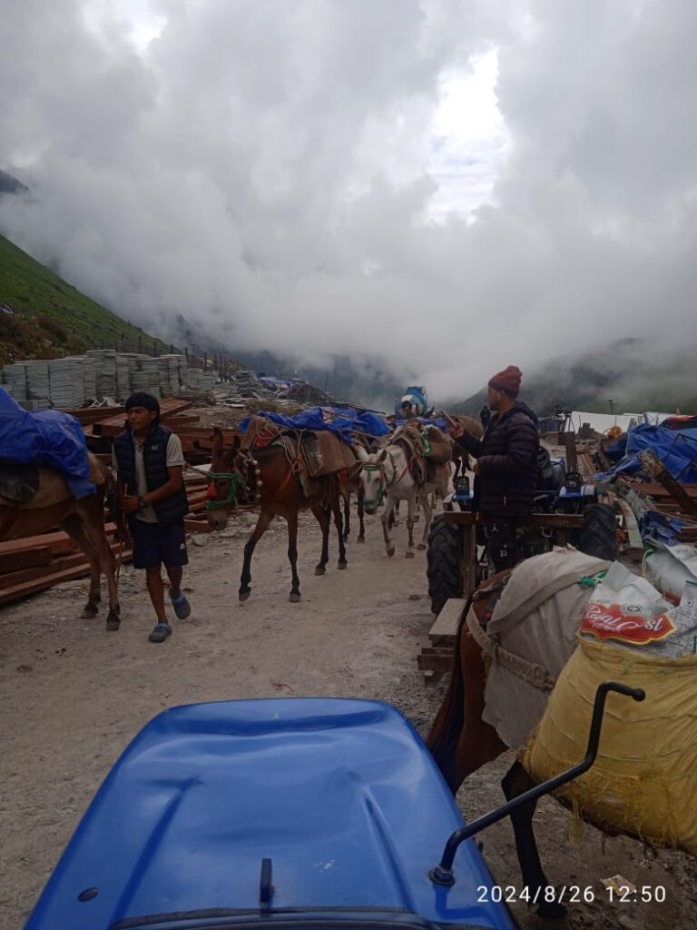 घोड़े- खच्चरों की आवाजाही के लिए खुला केदारनाथ मार्ग