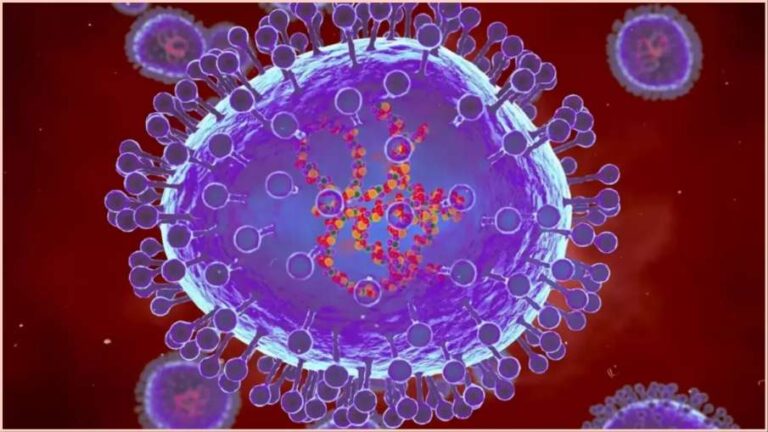 HMPV Virus :  एचएमपीवी संक्रमण की भारत में दस्तक, बंगलूरू में आठ महीने की बच्ची में दिखे संक्रमण के लक्षण, अलर्ट