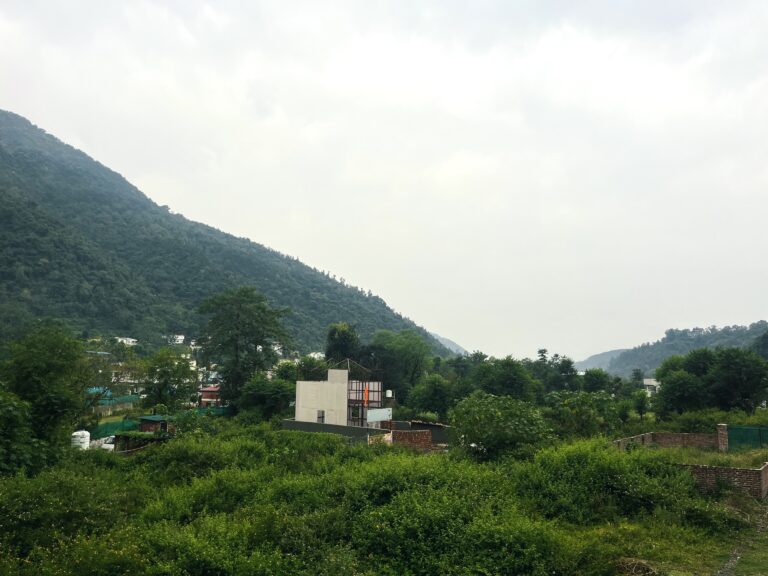 उत्तराखंड के 9 जिलों में बारिश, बिजली चमकने और तेज हवाओं का अलर्ट, 40 किमी प्रति घंटे की रफ्तार से चलेंगी हवाएं